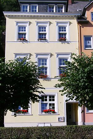 Blick vom Rhein auf das Hotel